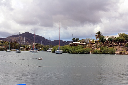 cruise14 (823)